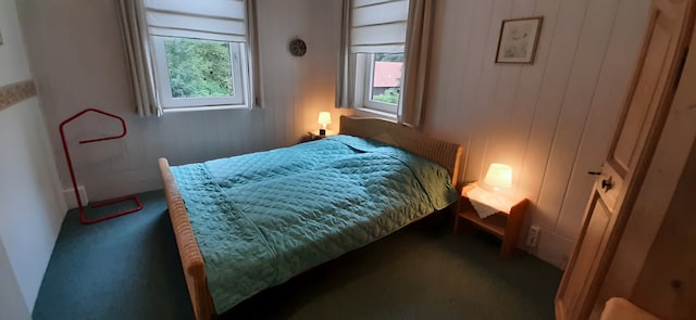 Alpenverblijf in Wildemann, Wildemann