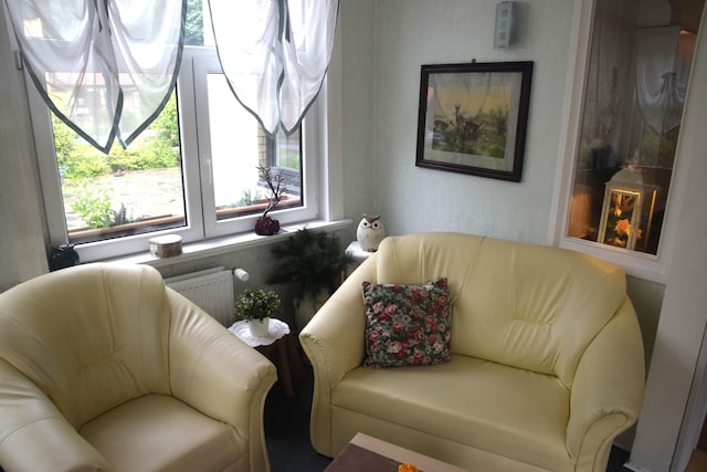 Sonniges Dachgeschoss-Refugium, Wildemann, Wildemann