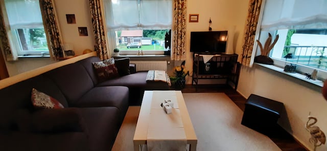 Ferienwohnung in Wildemann, Wildemann