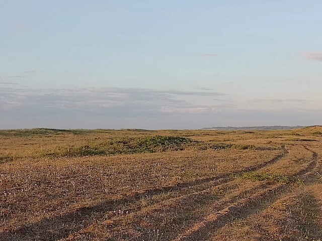 7 Personen Ferienhaus in Fjerritslev-By Traum, Northern North Sea