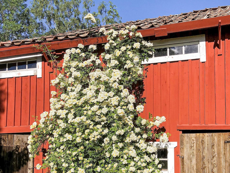 4 person holiday home in BJÖRKÖ-By Traum, Norrtälje