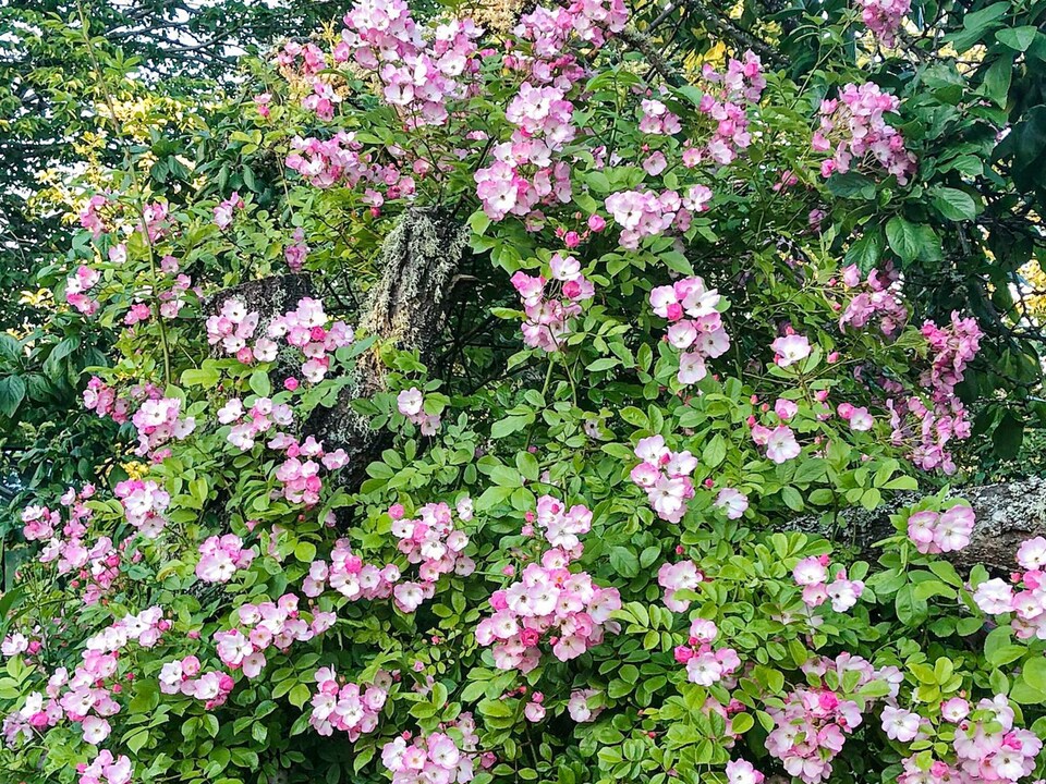 4 person holiday home in BJÖRKÖ-By Traum, Norrtälje