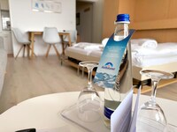 Appartement Helmut mit Sauna und Pool