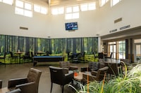 Luxe villa met sauna, in mooi Bad Bentheim