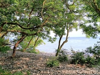 4 persoons vakantie huis in Borre-By Traum