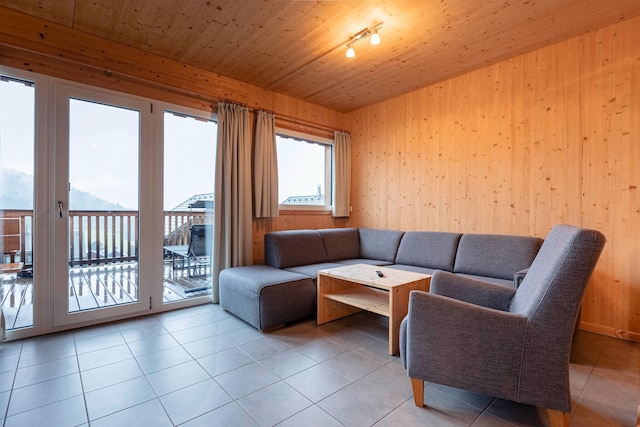 Lavish chalet with sauna near ski-slope