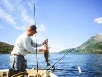 4 sterren vakantie huis in Naustbukta