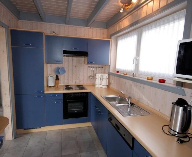 exklusives skandinavisches Ferienhaus, Rechlin