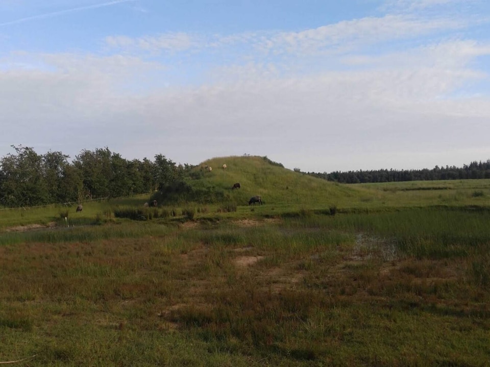6 person holiday home in Ansager, Central Jutland