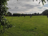 4 Personen Ferienhaus in Ansager