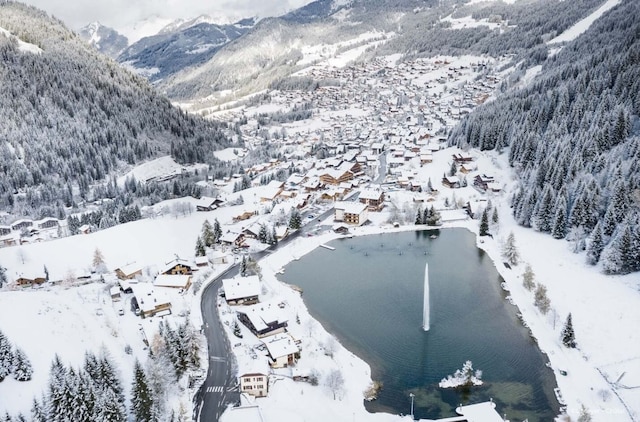 Chalet in Frankreich mit Bergblick