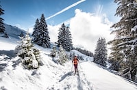 Chalet in Frankreich mit Bergblick
