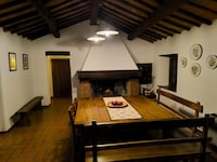 Farmhouse in Tuscany with Olive Grove Views