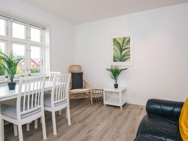 2 person holiday home in Ringkøbing, Ringkøbing Fjord