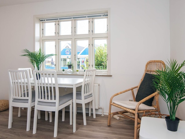 2 person holiday home in Ringkøbing, Ringkøbing Fjord