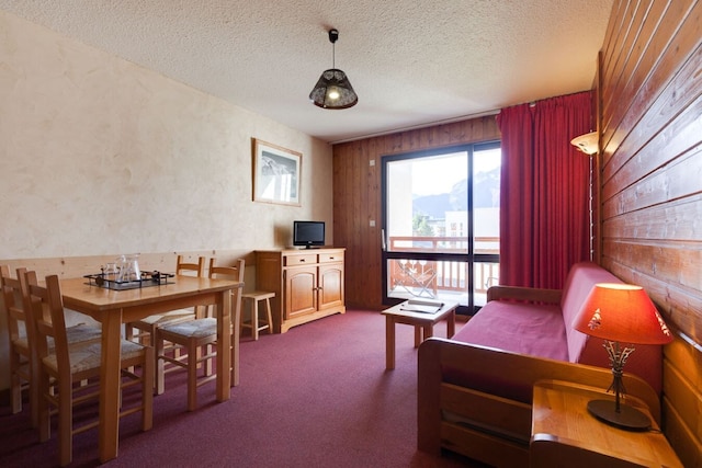 Studio in French Alps near Ski Resort