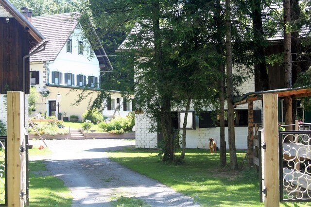 Groot modern vakantiehuis in Hermagor-Pressegger See/Karinthië met zwembad, Hermagor-Pressegger See
