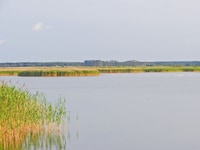 Casa galleggiante a Barth sul Barther Bodden