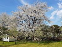 4 Sterne Ferienhaus in Åsa