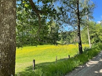 4 Sterne Ferienhaus in LJUNGSKILE