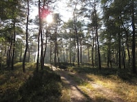 Hütte in Veluwe nahe Nationalpark
