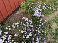 5 star holiday home in KÖPING