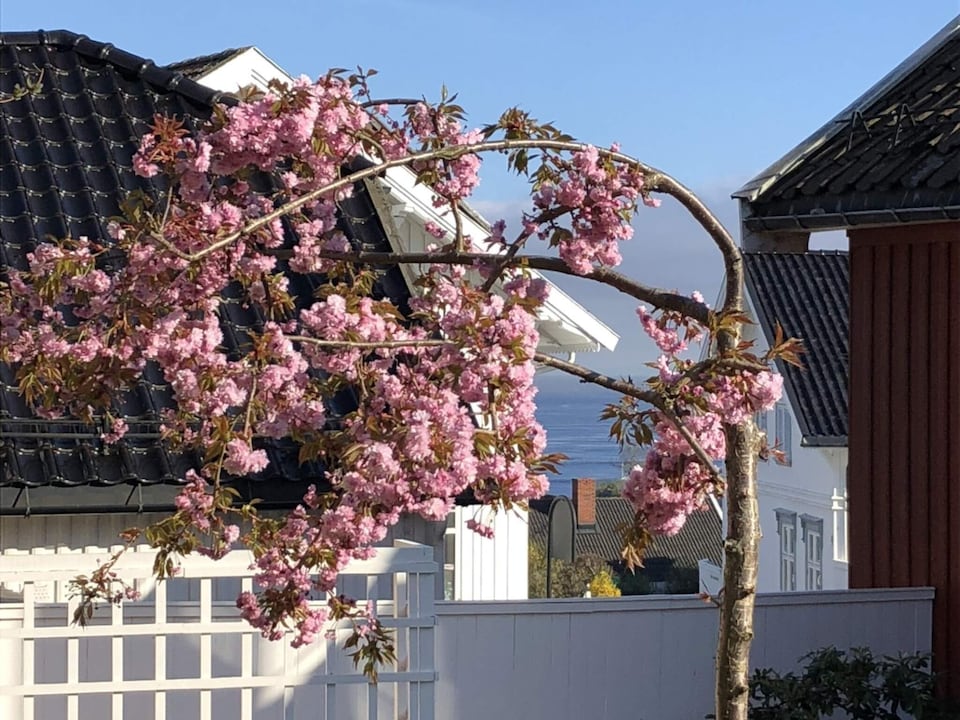 8 Personen Ferienhaus in Larvig, Vestfold