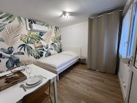 Apartment in Le Mans near Old Town