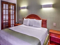 1 Queen Bed  Suite Non-Smoking Sofa-Bed