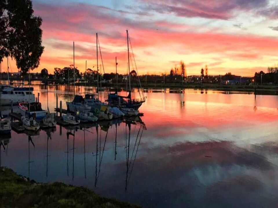 Cozy King Bed|Pool|Free Parking, Oakland