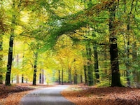 Casa per Famiglie a Veluwe con Piscina