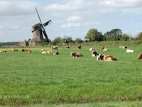 Fattoria a Utrecht sul fiume Vecht