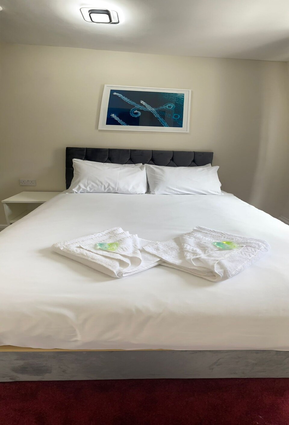 Standard Double Room - Shared, London