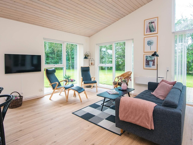 4 star holiday home in Tarm, Ringkøbing Fjord