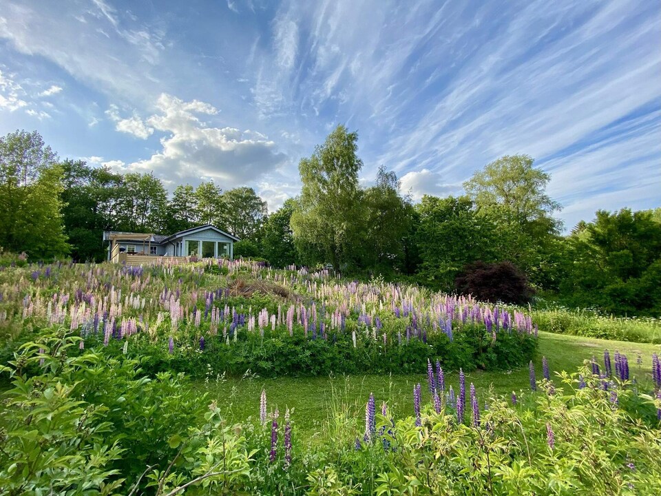 4 star holiday home in Brösarp, Österlen
