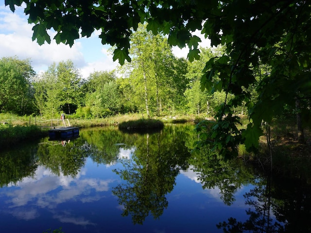 4 sterren vakantie huis in Brösarp, Österlen