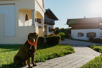 Gemütliches Ferienhaus im Landhausstil im Vital Camp Bayerbach