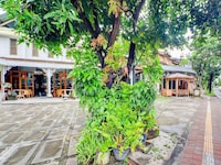 Luxury Deluxe DBL Escape W/ Free WiFi and Parking