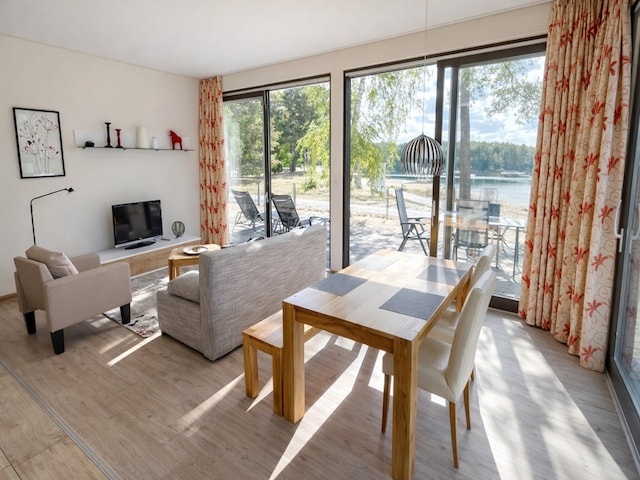 Bernsteinsee Home and Ferien Small Forest Chalet, Sassenburg