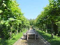 Alphen Retreat met sauna