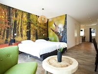 Comfortkamer Deluxe 2