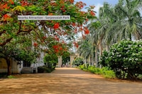 OYO The Purple Leaf Hotel