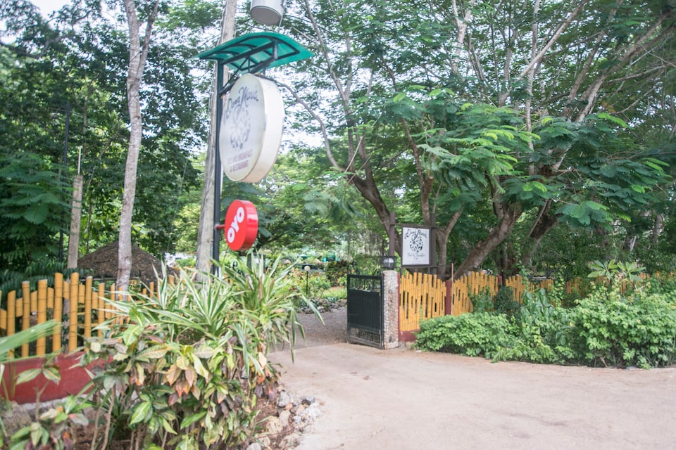 OYO 649 Dang Maria Bed And Breakfast, Puerto Princesa, Puerto Princesa