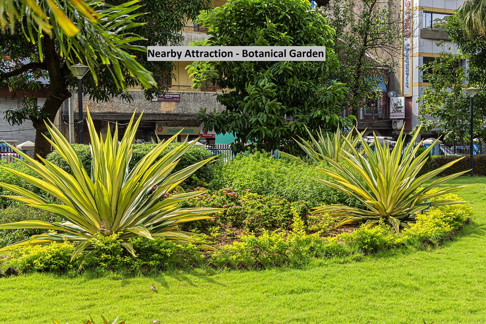 live on nod1125., Noida City, Noida