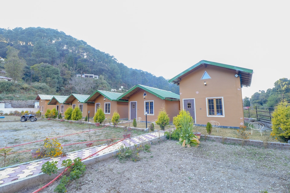 live under nan, Highcourt Nainital, Nainital