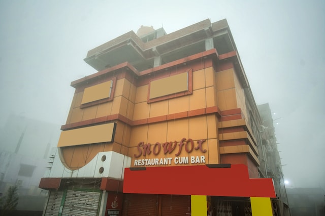 Super Collection O Snowfox