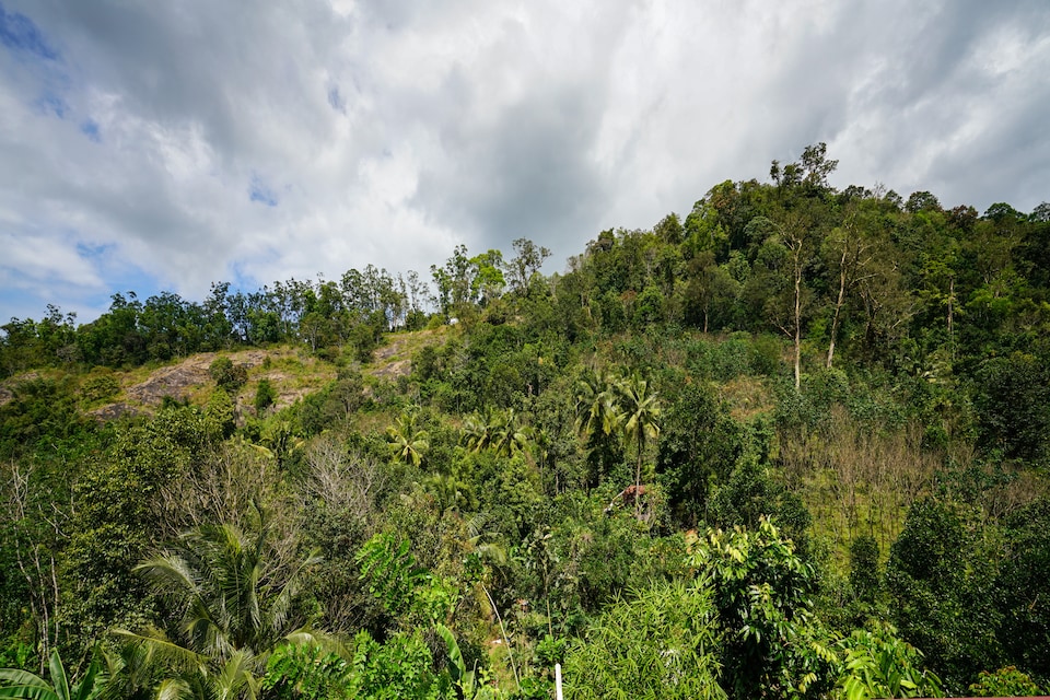 OYO 77650 Charming stay, Adimali Munnar, Munnar