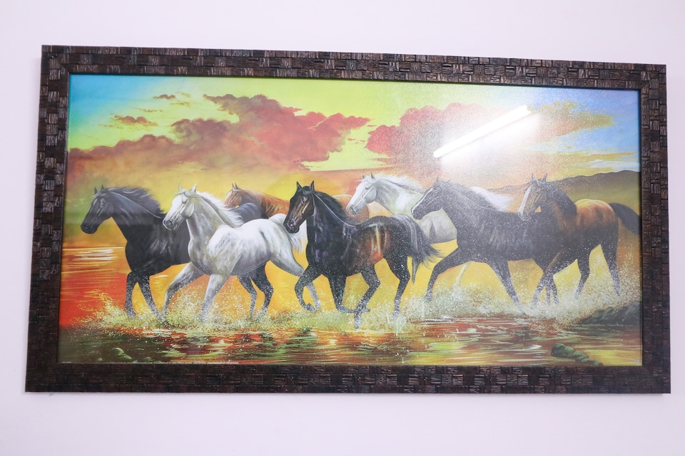 OYO 78111 Royal residency Uttam nagar, Rajouri Garden Delhi, Delhi