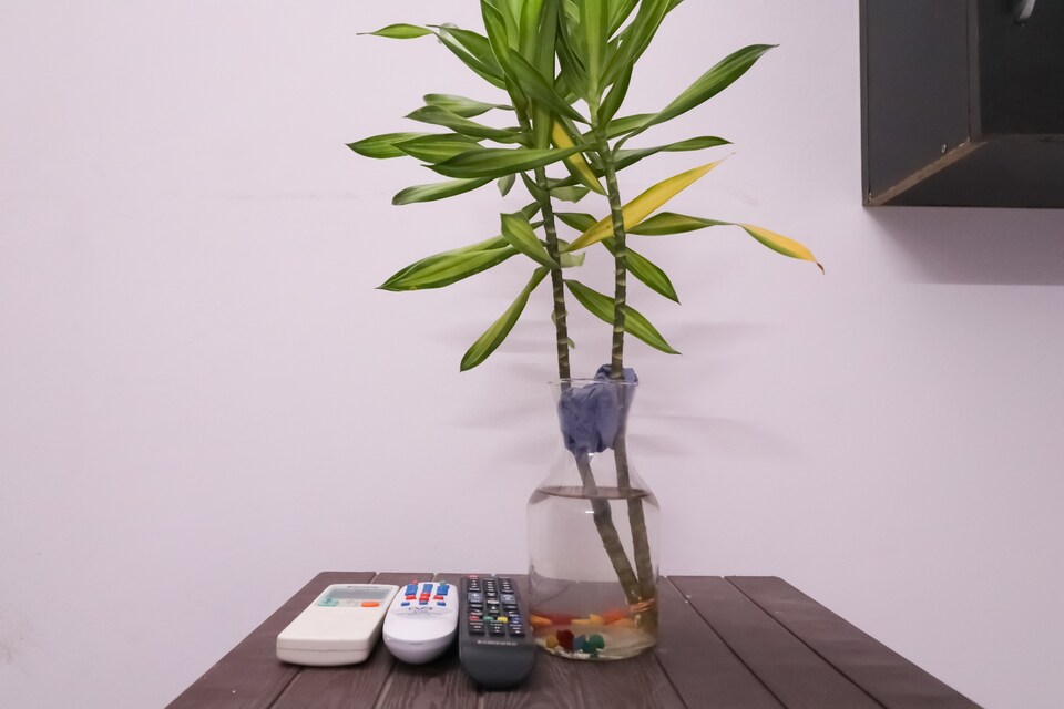 OYO 78111 Royal residency Uttam nagar, Rajouri Garden Delhi, Delhi