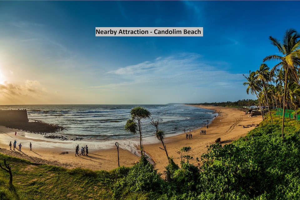  Live on GOA3364, Candolim, Goa